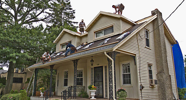 Best Residential Roof Replacement  in Argos, IN